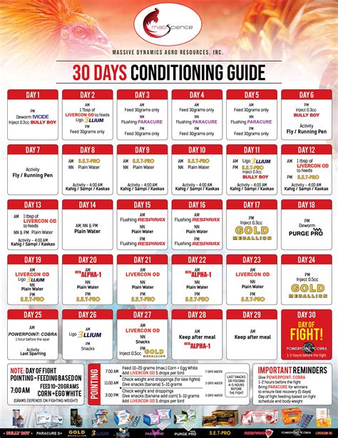 ldi conditioning|LDI Endorser's 31 Days Conditioning Program .